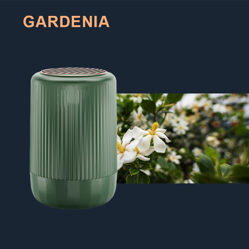 Whirlwind Hanging Car Air Freshener