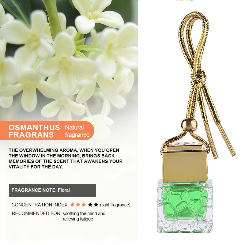 Water Cube Hanging Car Air Freshener