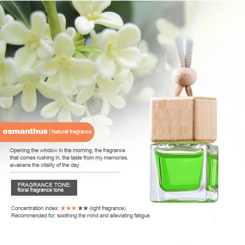 Cube Hanging Car Air Freshener