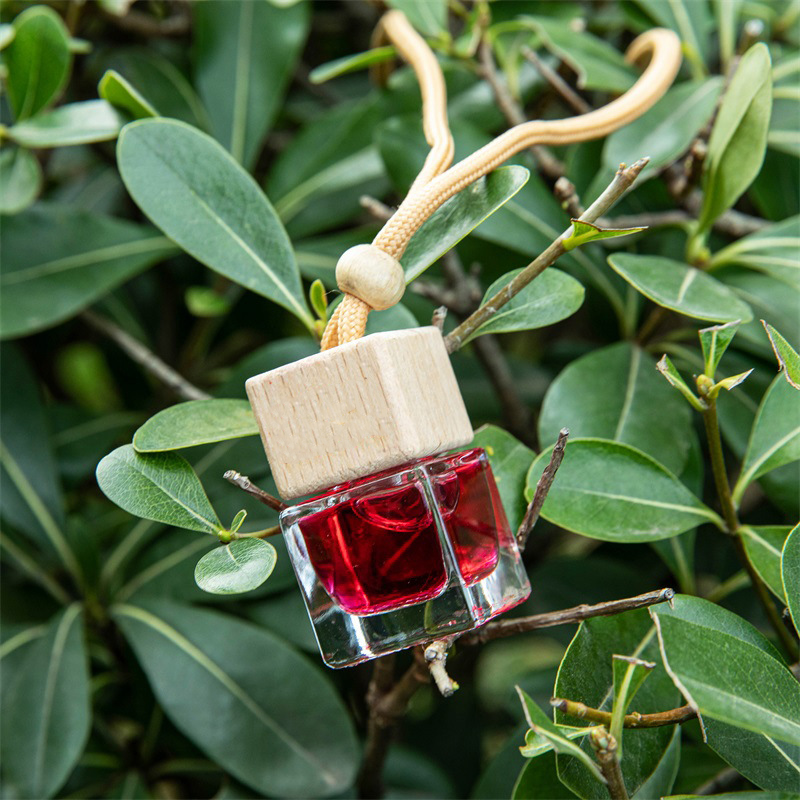 Cube Hanging Car Air Freshener