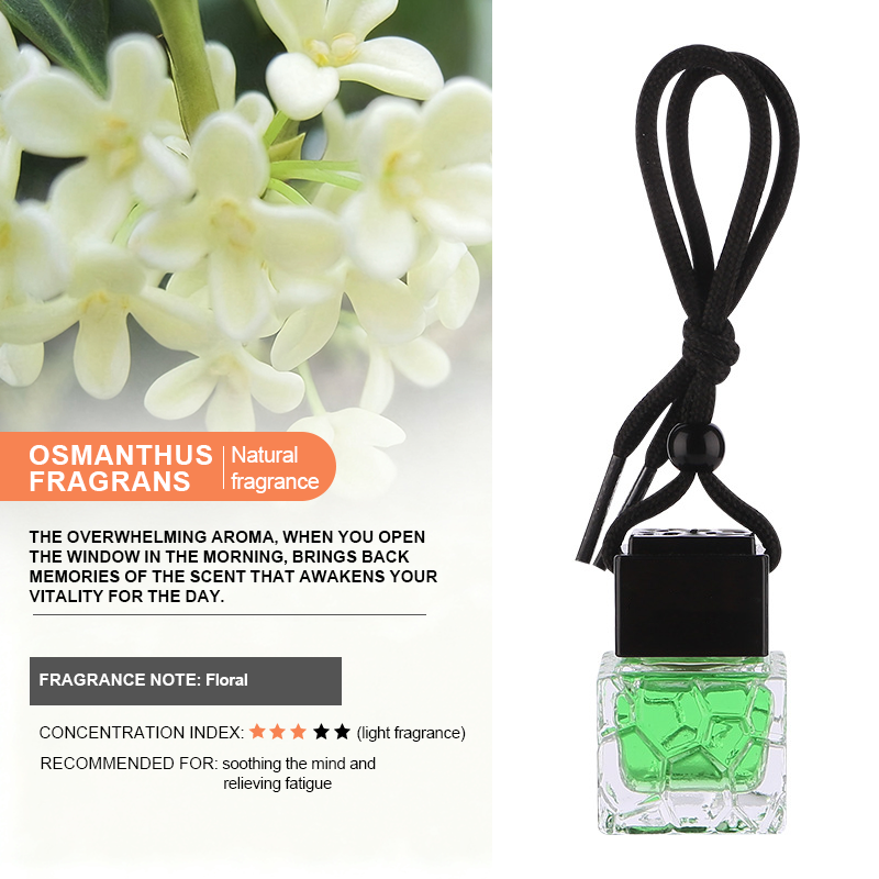 Car aroma pendant - Water Cube style - 9