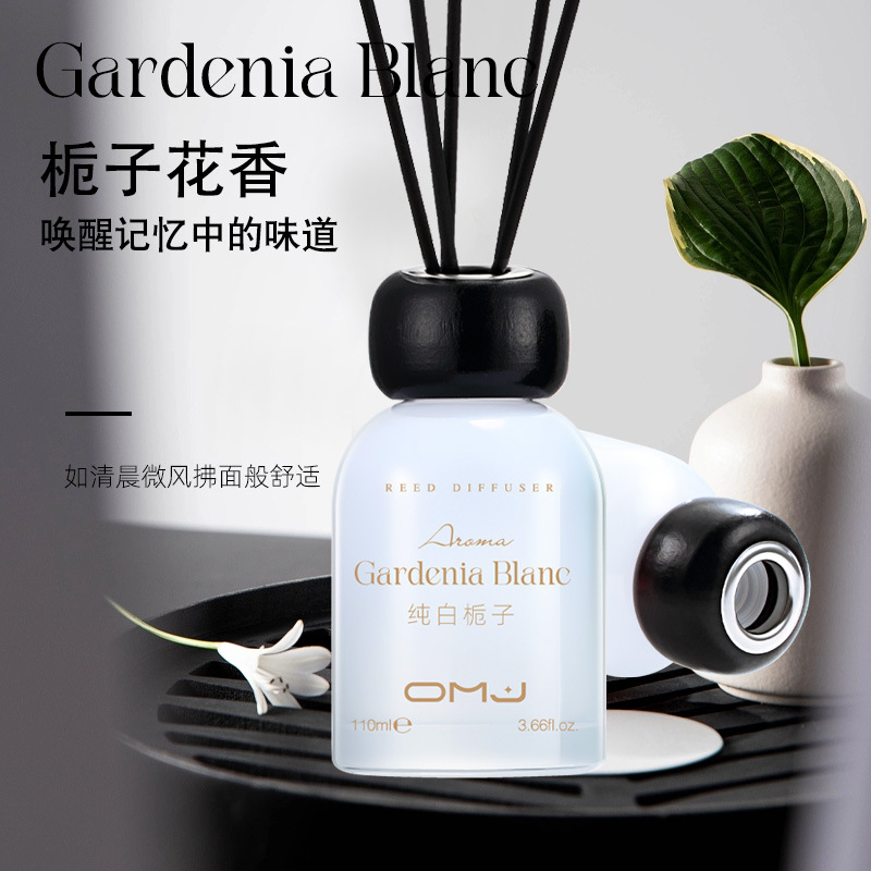 Euromeiga Collection: Orange & Green Spring Reed Diffuser - Fragrance for Every Room