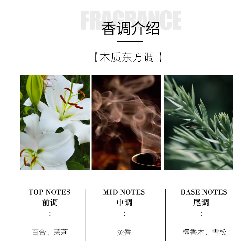 Euro-Cool Men's Fragrance - 2