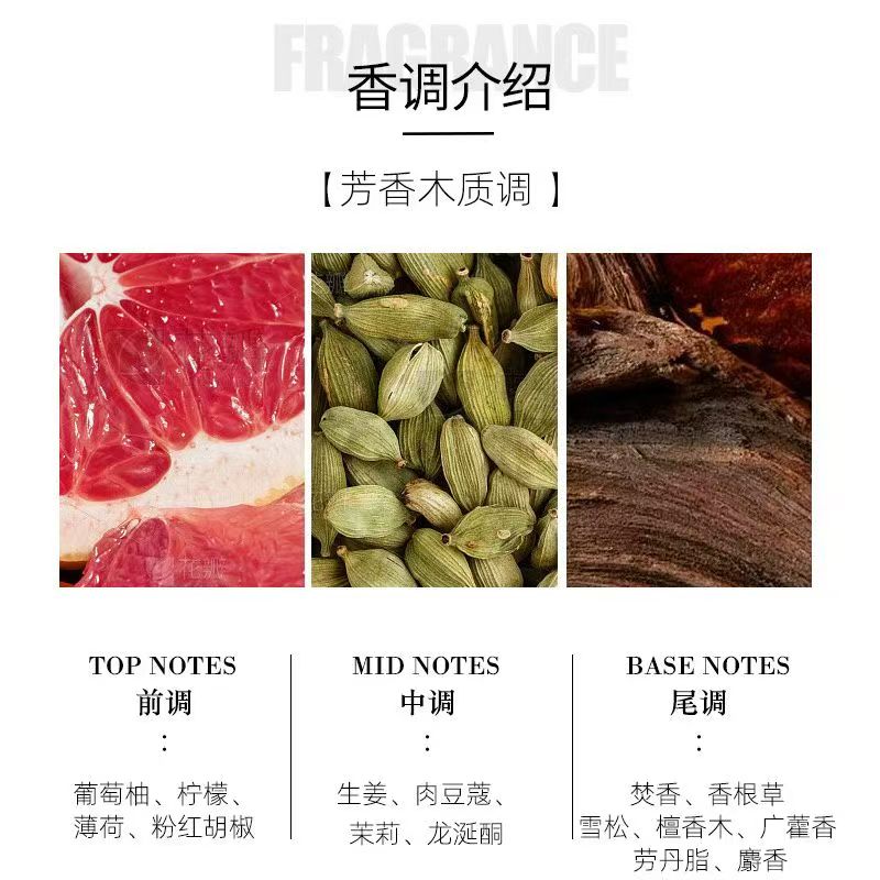 Euro-Cool Men's Fragrance - 2